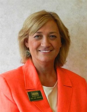 Sue Ann Werntz